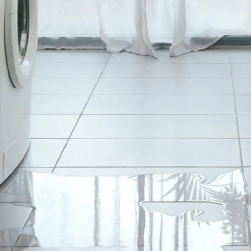Appliance Leak Cleanup in Kosciusko County, IN