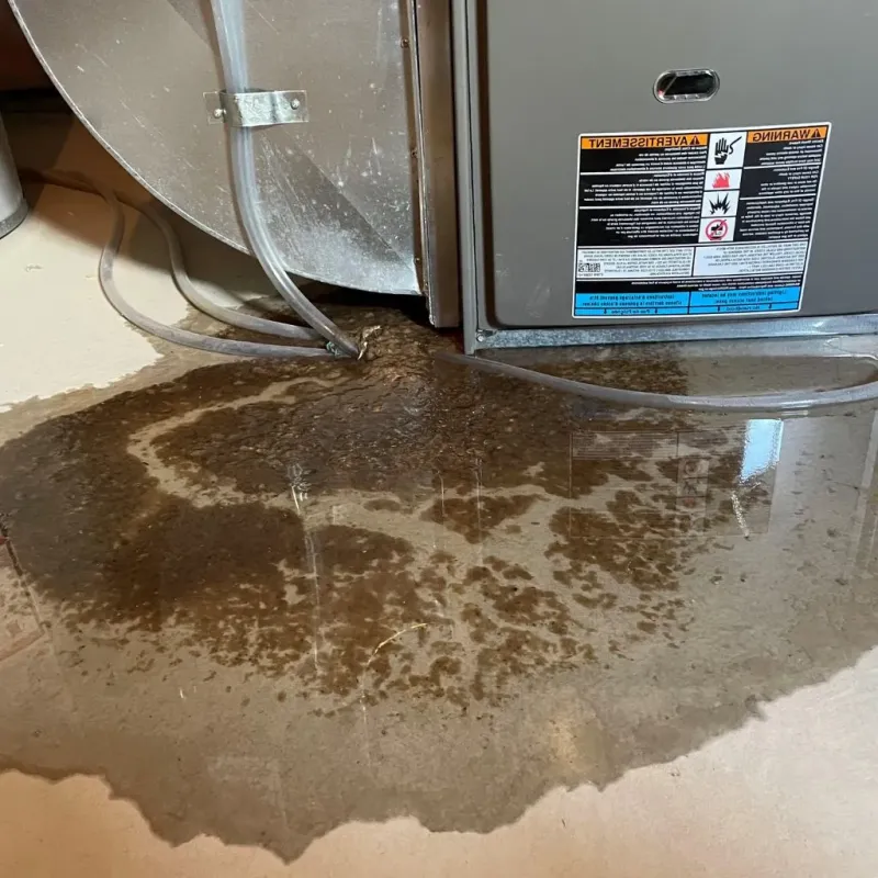 Pipe Burst and Leak Restoration in Kosciusko County, IN