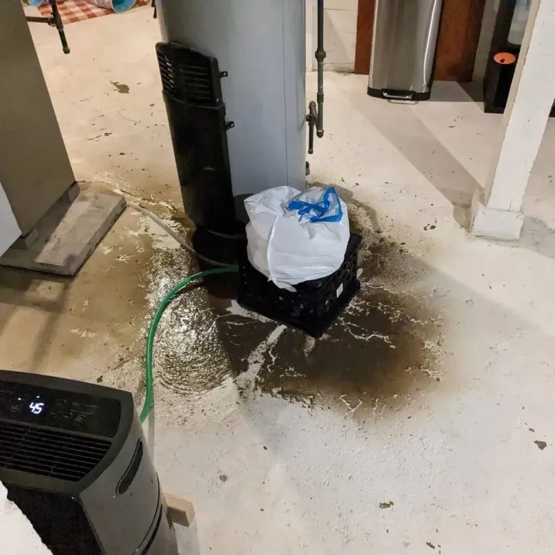 Sewage Backup Cleanup Service in Kosciusko County, IN